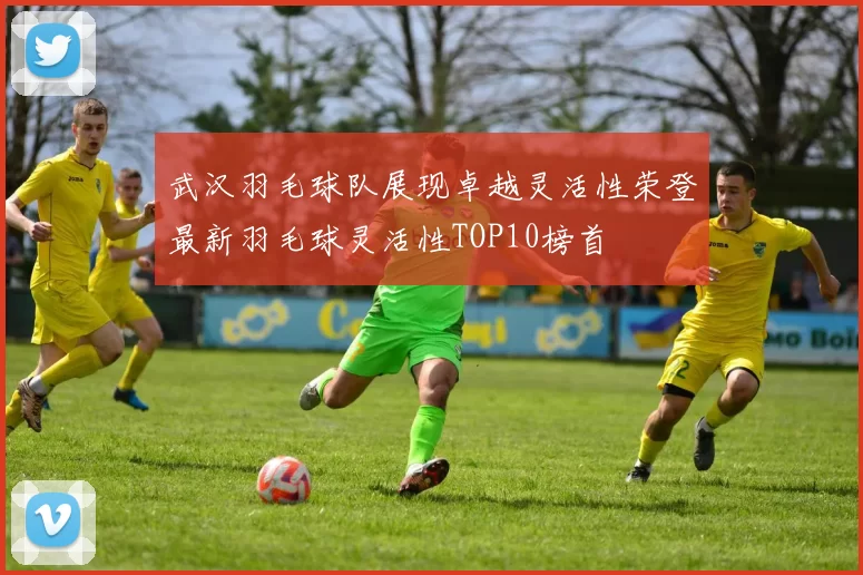 武汉羽毛球队展现卓越灵活性荣登最新羽毛球灵活性TOP10榜首