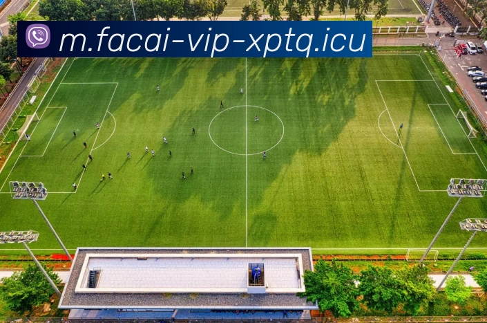 MK体育注册平台生态图