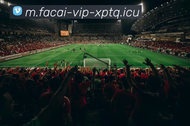 MK体育注册APP 封面图